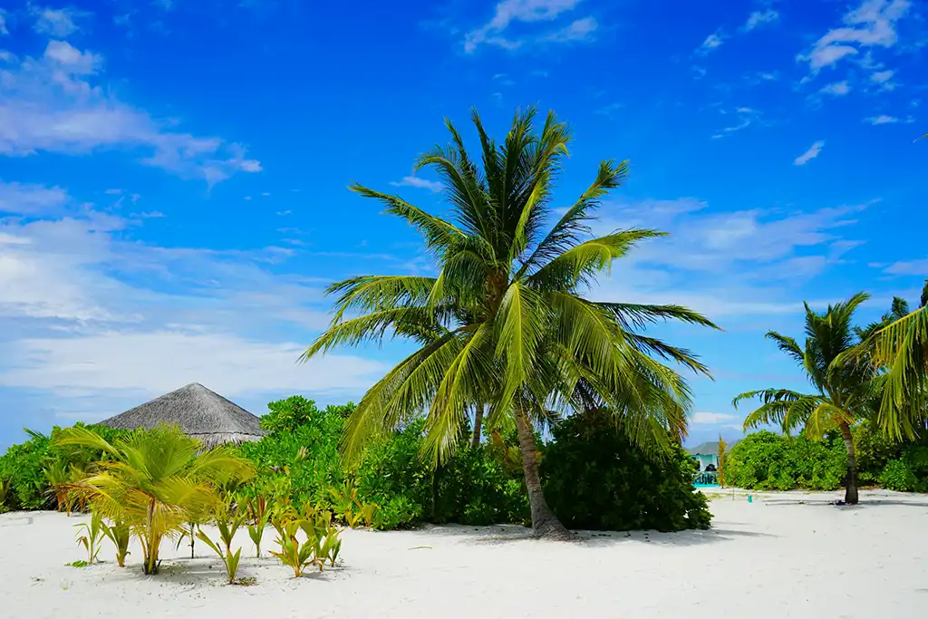 Maldives island hopping